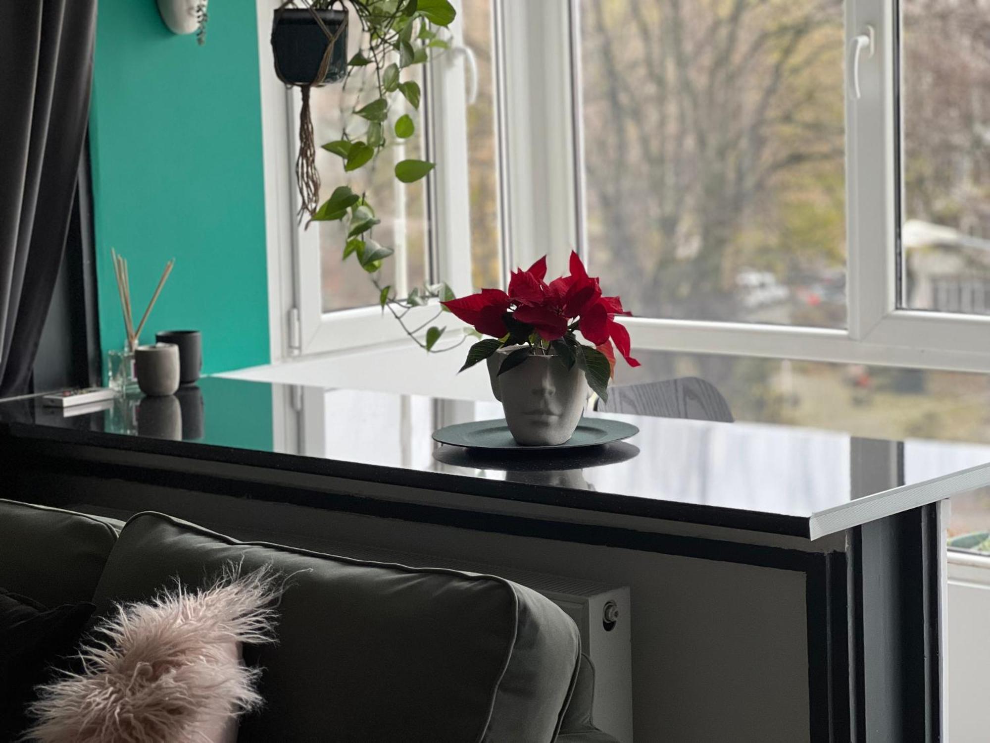 Cosy Studio Floreasca ブカレスト エクステリア 写真