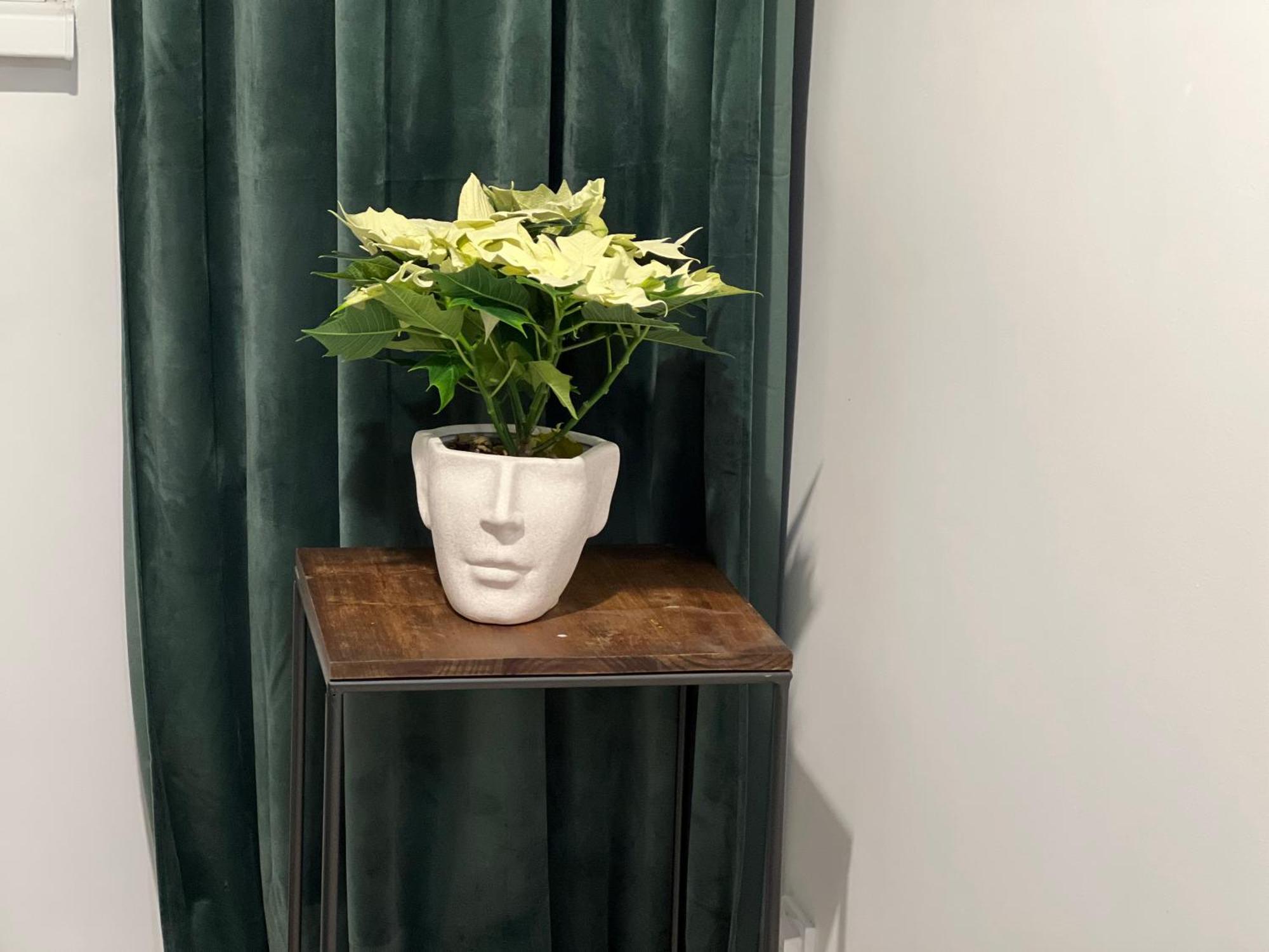 Cosy Studio Floreasca ブカレスト エクステリア 写真