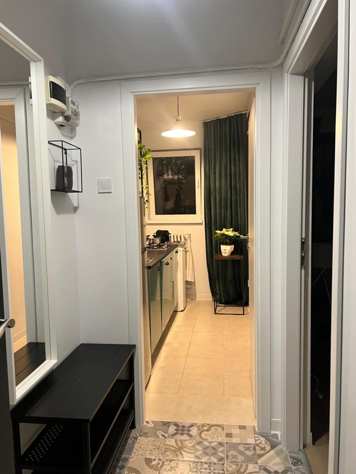 Cosy Studio Floreasca ブカレスト エクステリア 写真