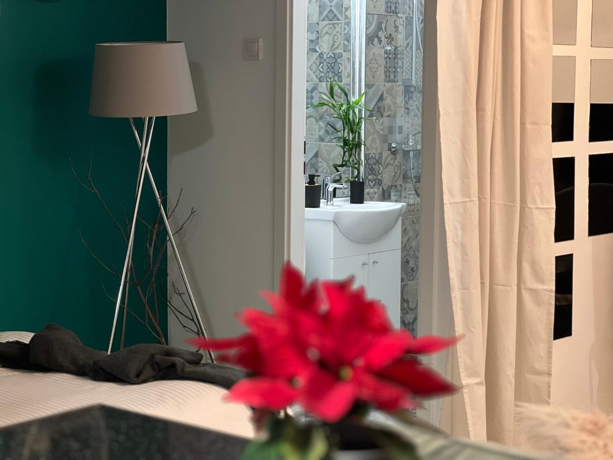 Cosy Studio Floreasca ブカレスト エクステリア 写真
