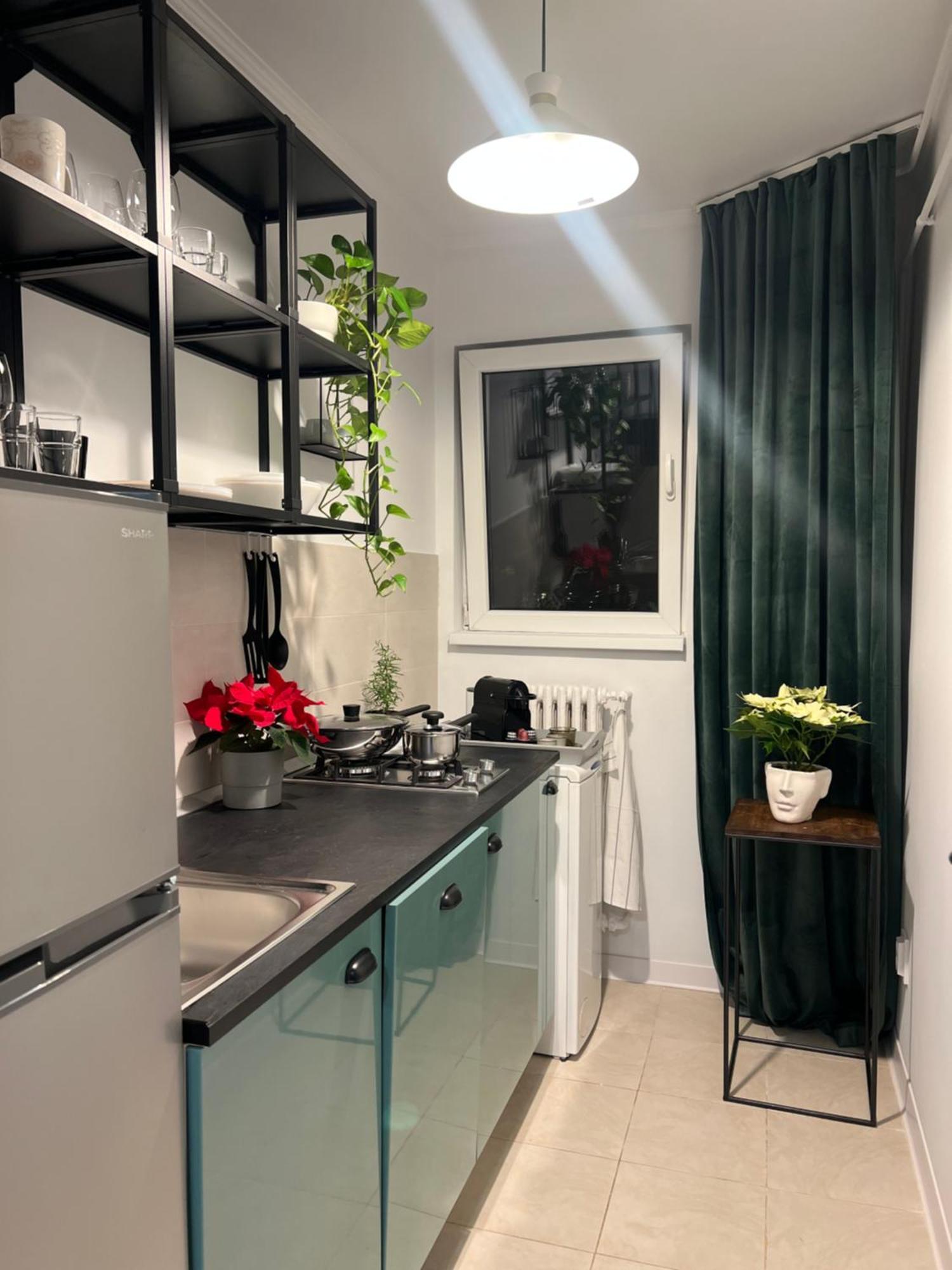 Cosy Studio Floreasca ブカレスト エクステリア 写真